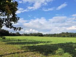 Team Triathlon (2021)