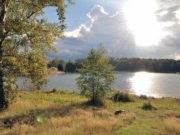 Team Triathlon (2021)