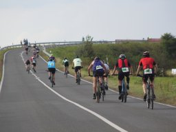 Team Triathlon (2021)