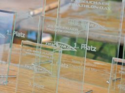 Team Triathlon (2021)