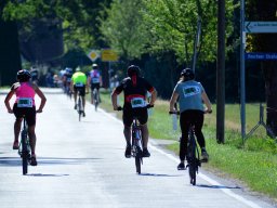 Team Triathlon (2022)