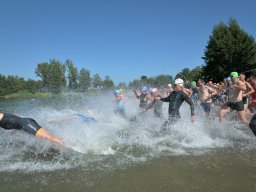 Team Triathlon (2024)