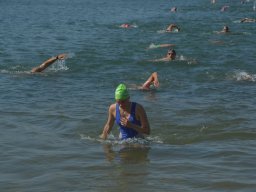 Team Triathlon (2024)